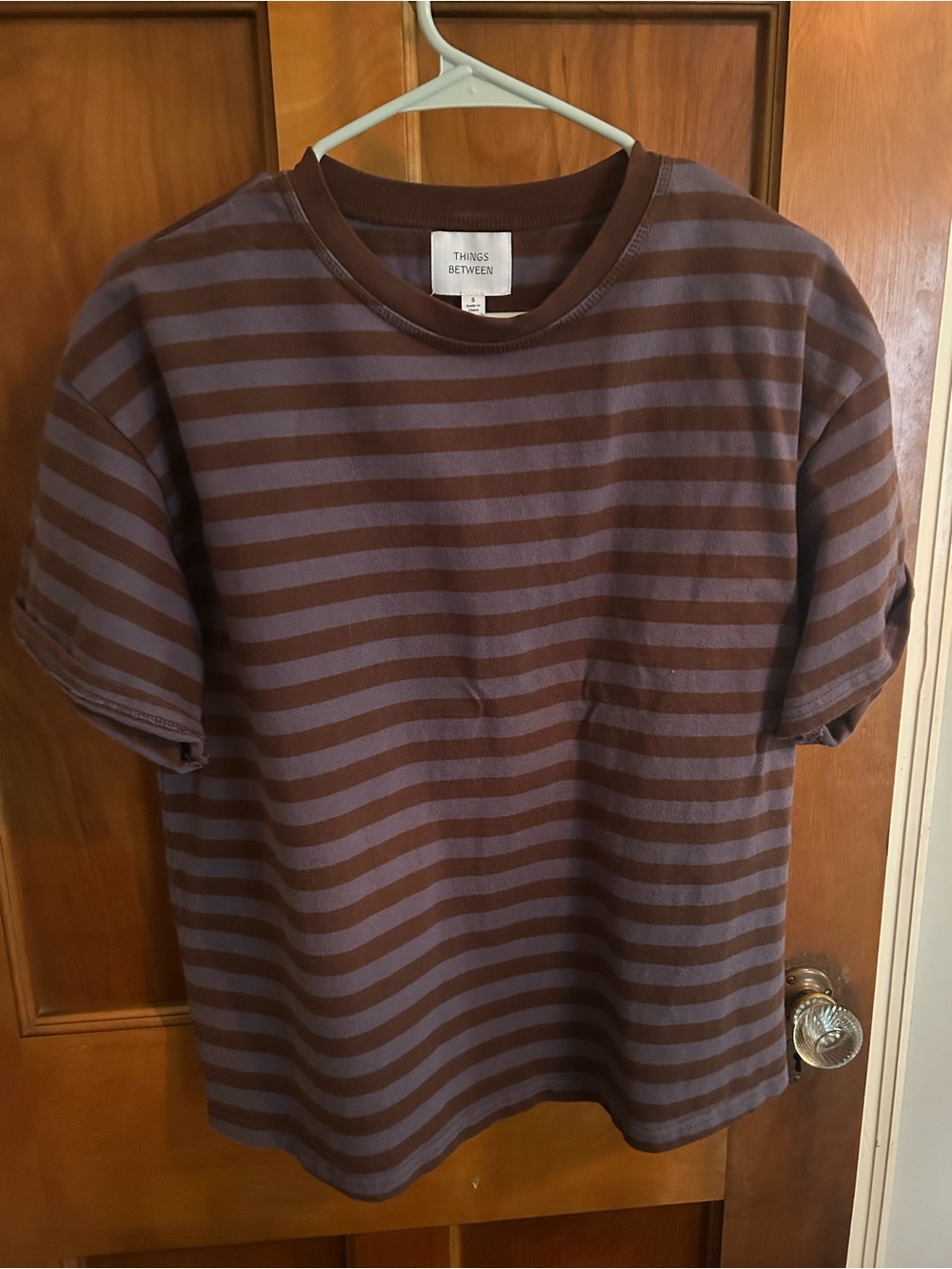 Things Between Brown and Blue Striped Tee
